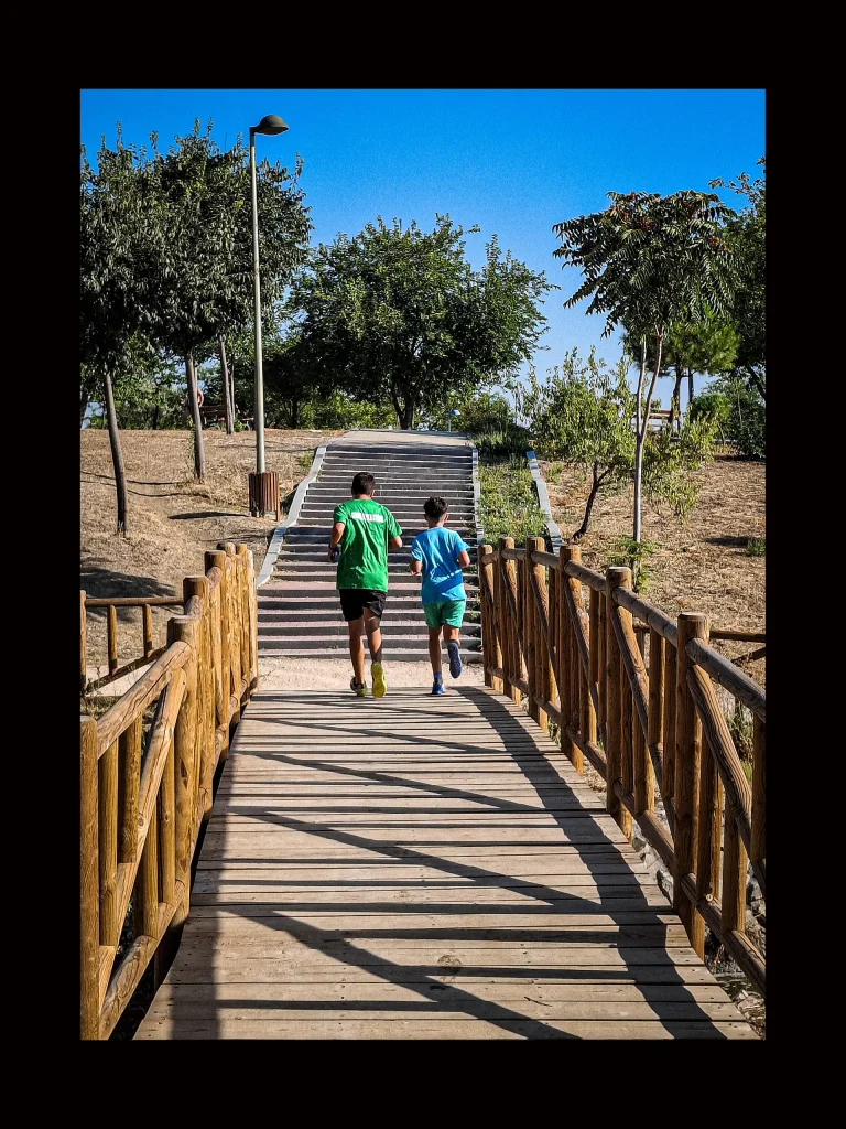 Parque de los patos.2 30x40